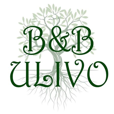 Ulivo Bed & Breakfast Trapani Luaran gambar